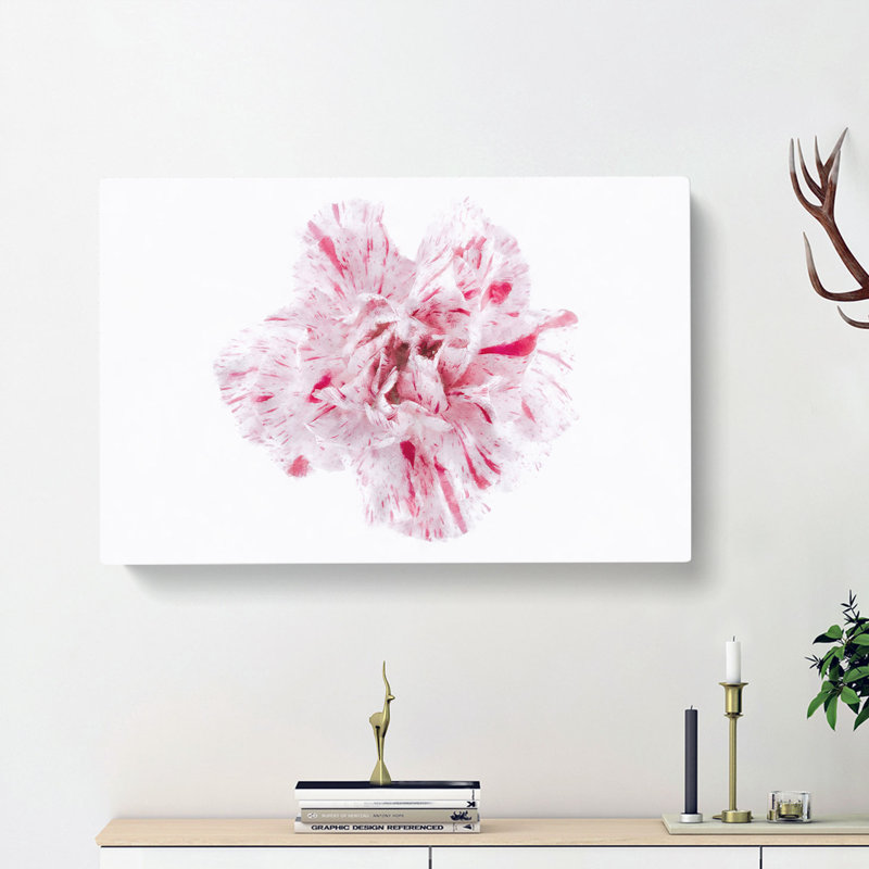 Striking White & Pink Carnation - Wrapped Canvas, 40cm H x 60cm W x 3cm D