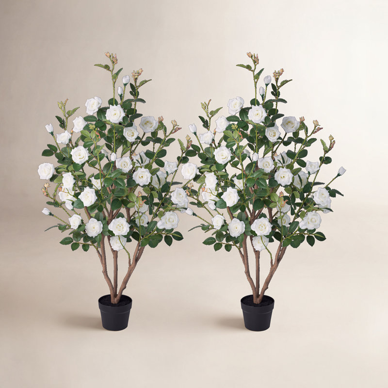 Rosier artificiel en pot de qualité supérieure Ashwell, Blanc, 48 po x 28 po