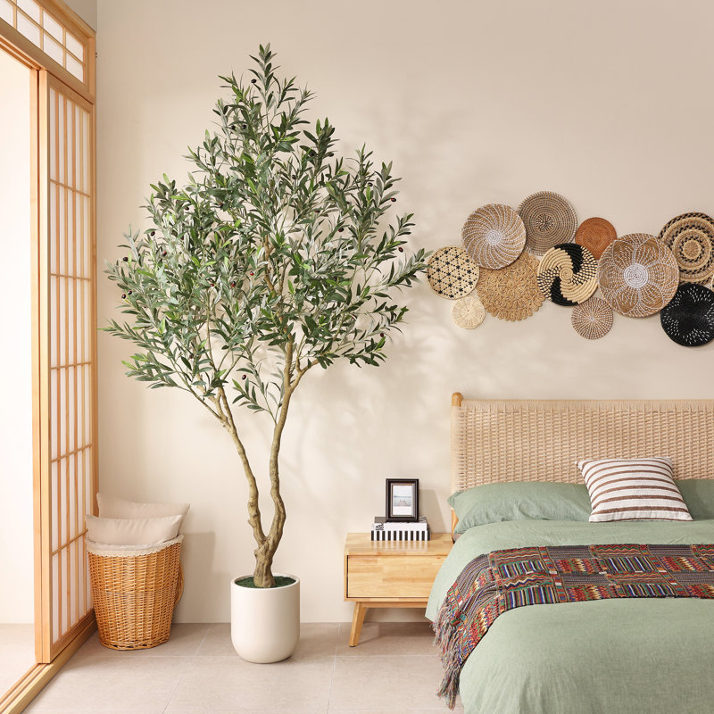Olive artificielle Ashwell avec pot blanc, 98,4 po x 12,9 po