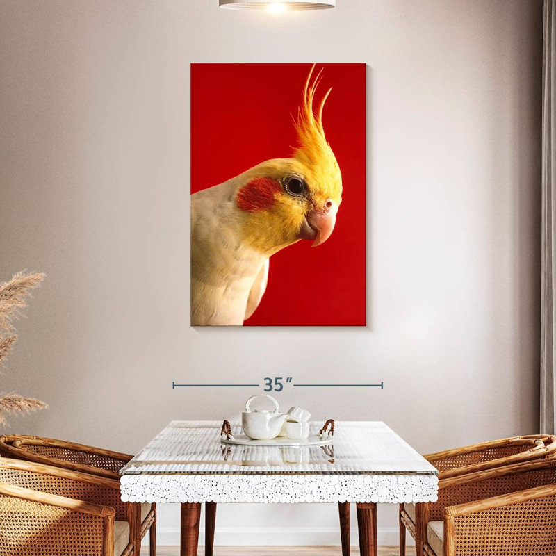Cockatiel Brampt Lutino, H 45 po x l 30 po