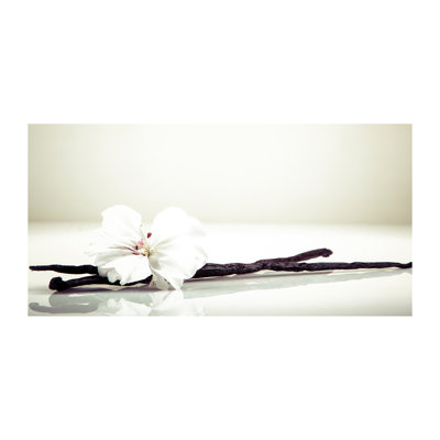Vanilla Stick - Wrapped Canvas Print