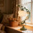 20" Ceramic Rose Table Lamp With Switch