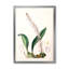 Vintage London Plants V - peinture sur toile-59814029-59814031