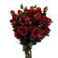 Plastic, Silk Artificial Arrangement-88685033