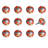 Handpainted 1 1/2" Diameter Round Knob Multipack