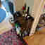 Customer photo 2 of 2