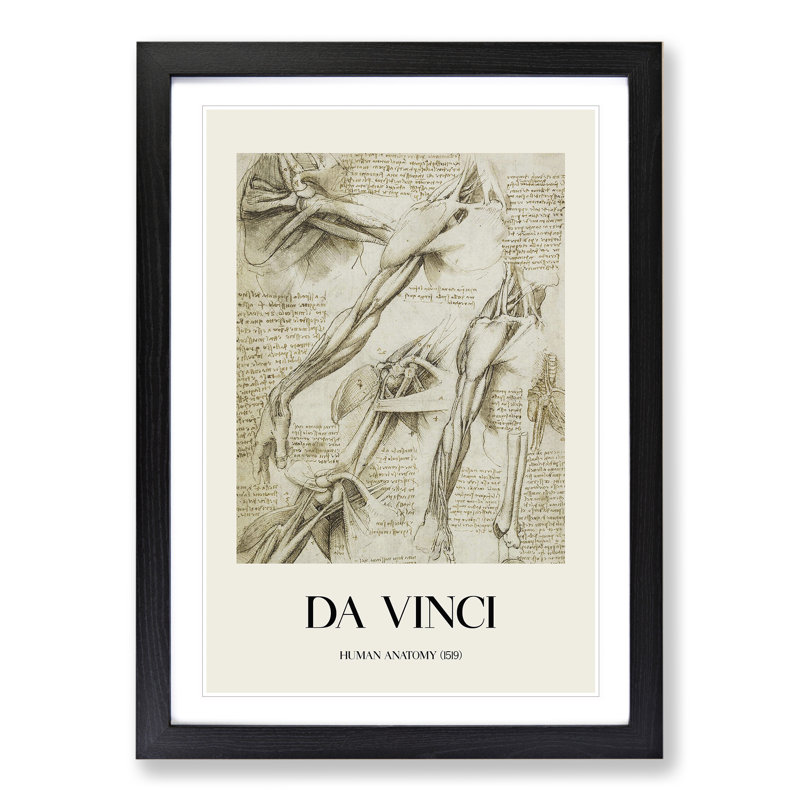 Human Anatomy Vol.1 by Leonardo Da Vinci - Picture Frame Drawing, Black Framed, 36cm H x 27cm W x 2cm D