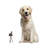 Taybah Entertainment Figurines & Sculptures