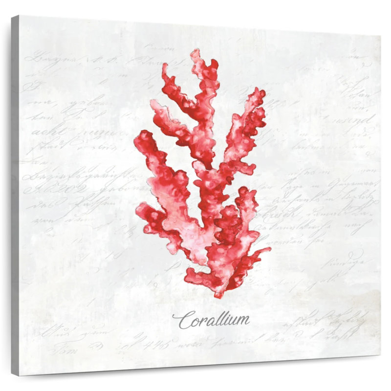 Crowle Red Sea Coral, 39" H x 39" W