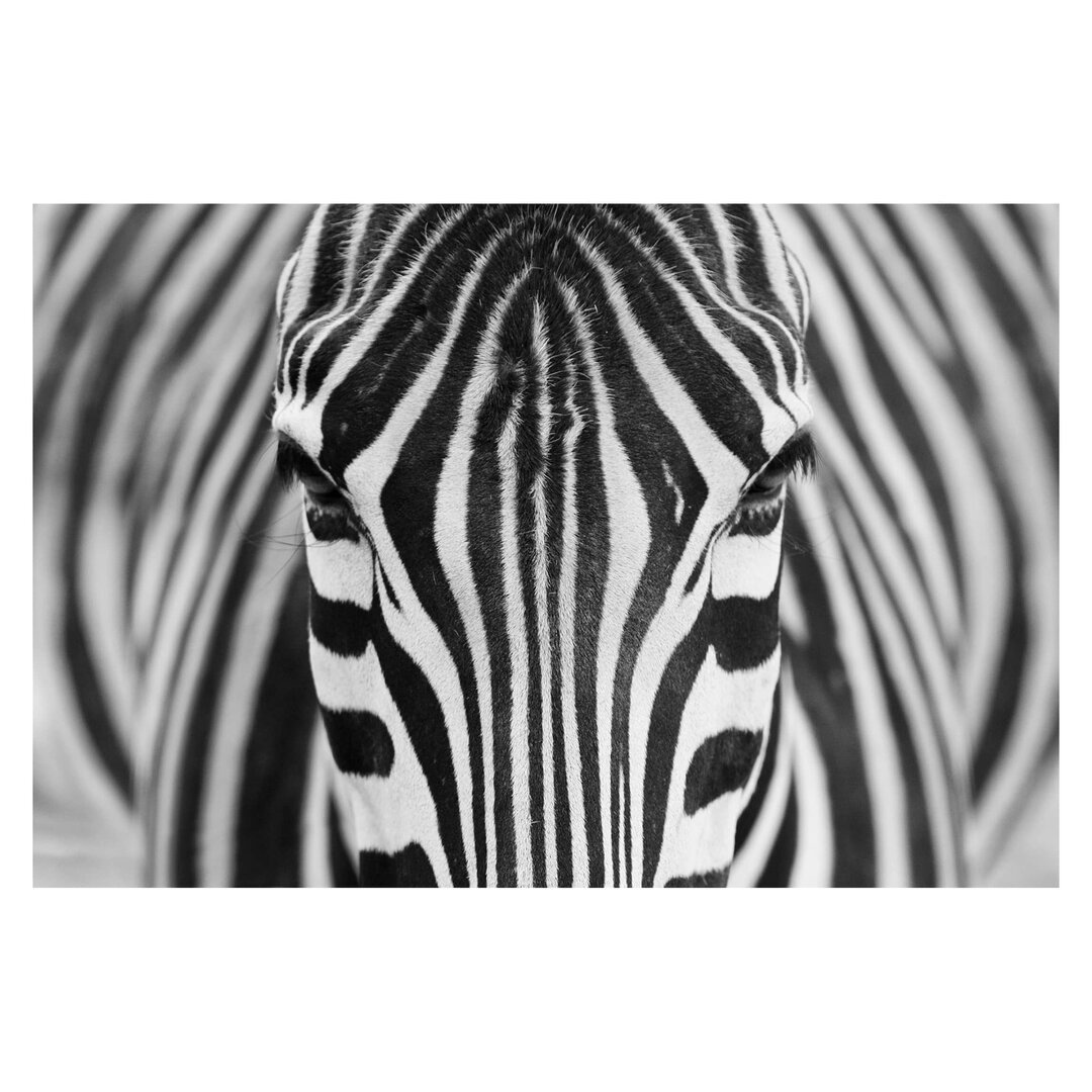 Strukturierte Fototapete Zebra Look 1,9 m x 288 cm