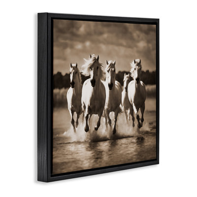 Camargue Stallions Trotting Framed Floater Canvas Wall Art By Noah Bay