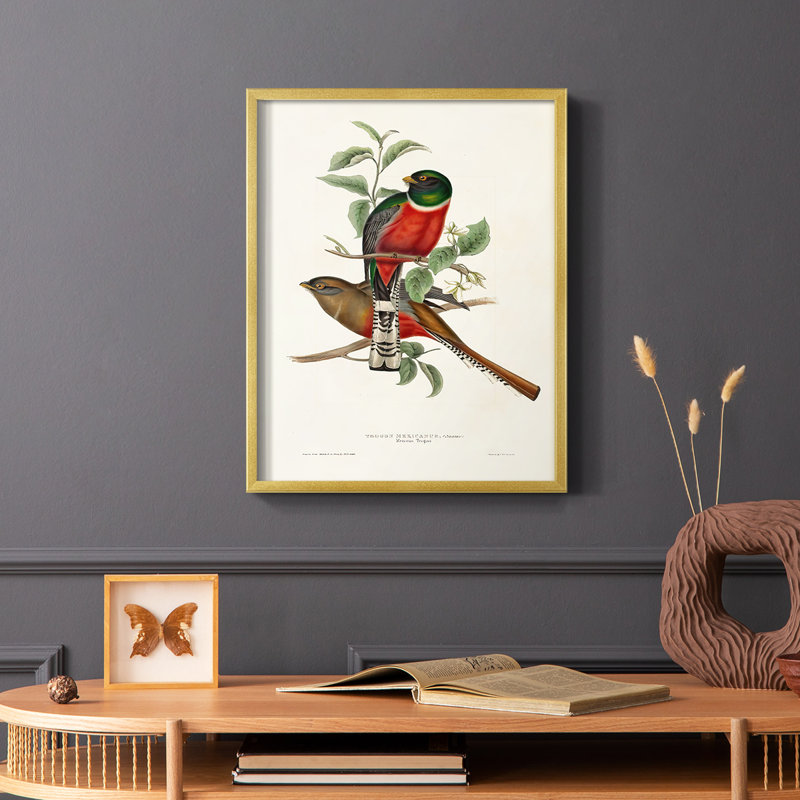 «Elegant Trogons I», reproduction encadrée - bois massif, H 28 po x l 22 po