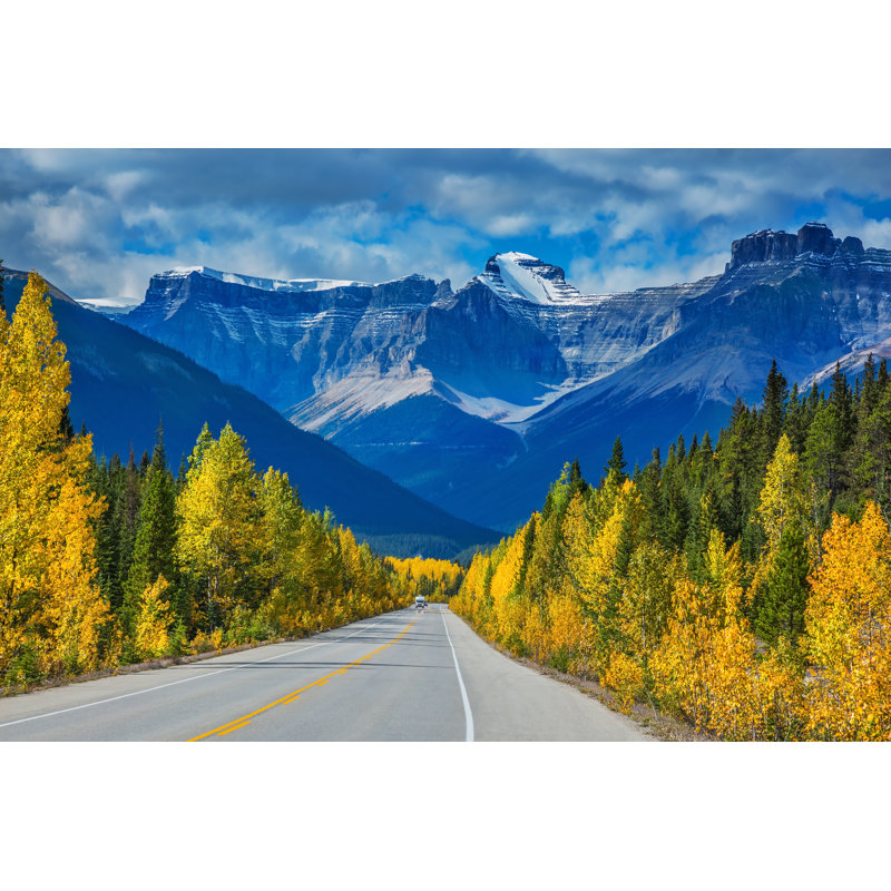 Anabelen Bright Aspen And Birch Beside The Highway On Canvas par Kavram, photographie, H 32 po x l 48 po x P 1,25 po