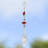 6 Piece Feride Hanging Crystal Accents