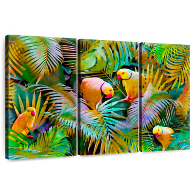 Oiseau des tropiques