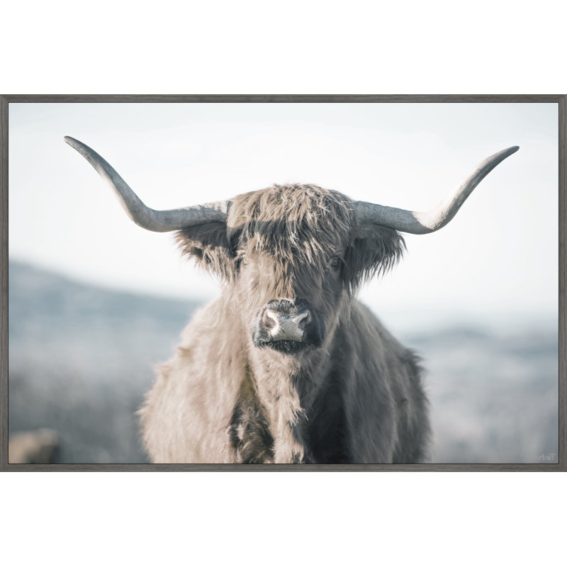 Highland Close-up - Print, Floater Grey Framed Canvas, 30cm H x 30cm W x 3.81cm D