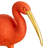 Elegant Ibis Reflection Figurine, Multicolor