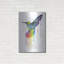 «Rainbow Hummingbird» par Olga Shvartsur-951921842