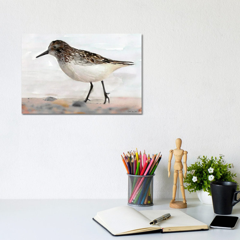 Sandpiper II by Stellar Design Studio - Painting on Canvas, Wrapped Canvas, 20.32 cm H x 30.48 cm W