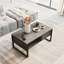 Hadrian Coffee Table