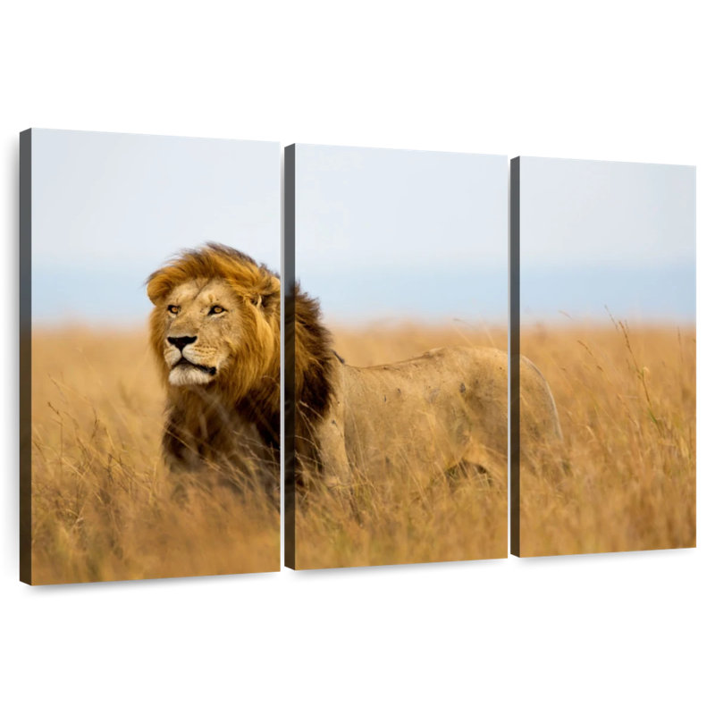 Lion Brampt chassant en safari, H 24 po x l 38 po
