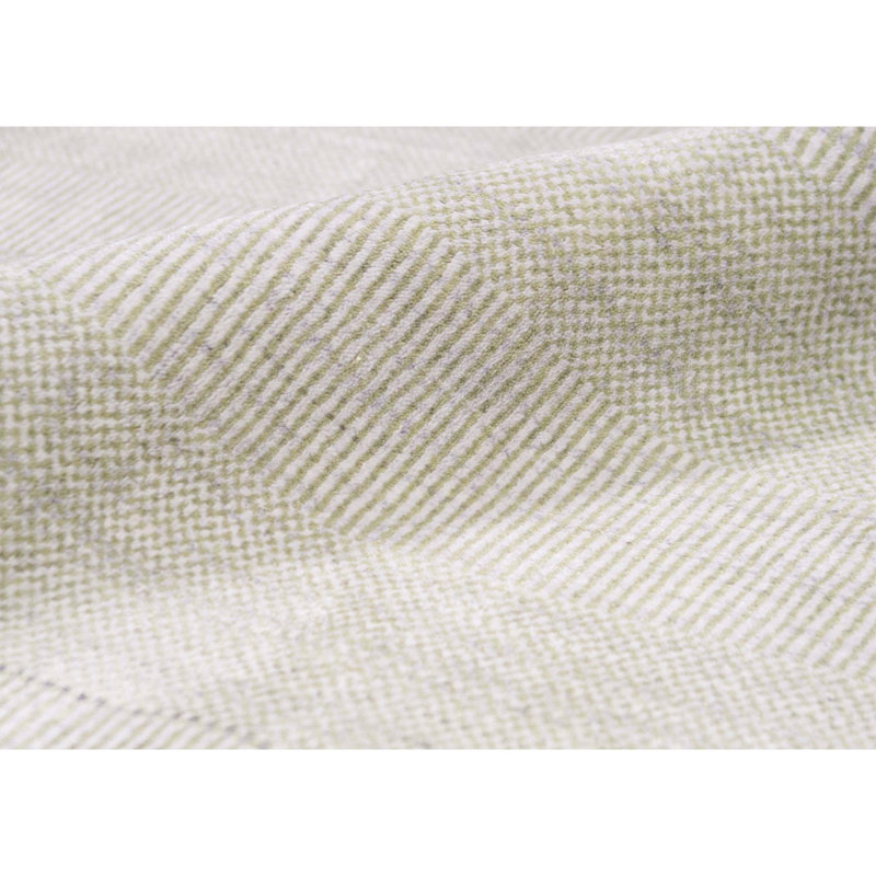 Area Rug in Beige