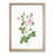 Oak Framed selected