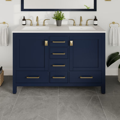 Minnich 48" Double Bathroom Vanity Set