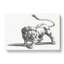 Lion by Johan Teyler - Wrapped Canvas Art - Wrapped Canvas-55365567
