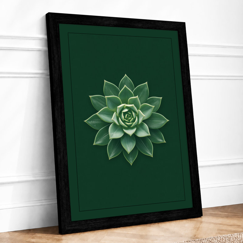 Geometric Succulent Botanical - Print, A2 - 59.4 x 42.0 cm, Black