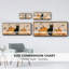 «Pumpkin Patch Cats Collection D», toile encadrée-84105897