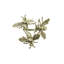 Hive Napkin Ring in a Gift Box