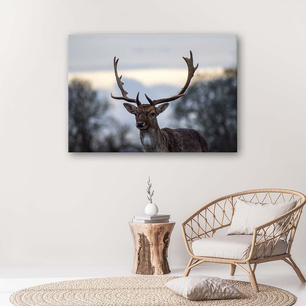 Leinwandbild Deer Animals Landscape Nature