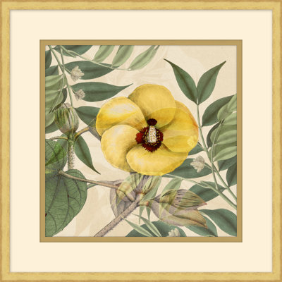 Golden Briar 3 Print