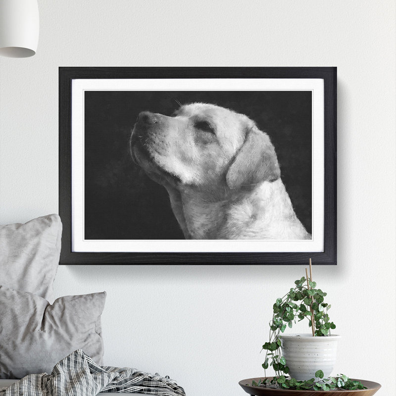Labrador Dog - Picture Frame Photograph Print, Black Framed, 24cm H x 33cm W x 2cm D