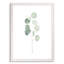 « mou eucalyptus branch i » par paul cezanne-cadre photo, reproduction d’art-693925080-693925085-693953563