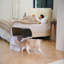 Litière pour chat Smart Smart
