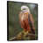 Black Floater Framed
