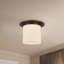 Mineral 11-in Brass Flush Mount-204888996-204888997