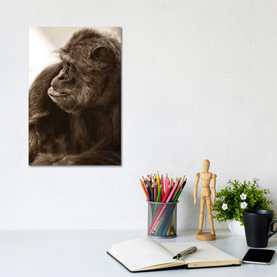 Chimpanzee II by Goran Anastasovski - Wrapped Canvas Print