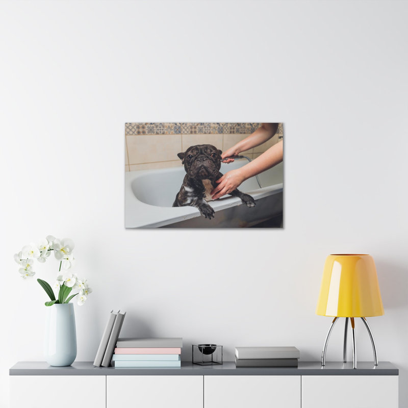 «Cute French Bulldog Bath», art mural sur toile, H 12 po x l 18 po