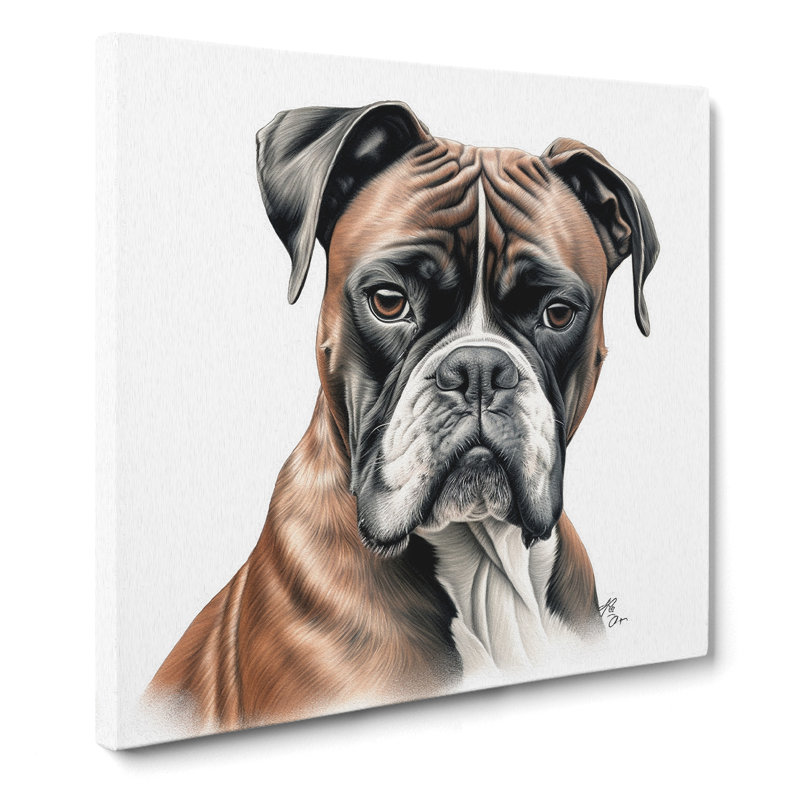 Boxer Dog Drawing - No Frame Print, 35cm H x 35cm W x 3cm D