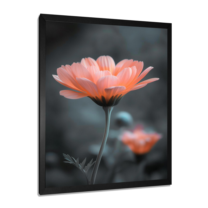 Photo de souci botanique rose et gris - souci mural, salon, Cadre simple noir, bois massif, H 12 po x l 20 po