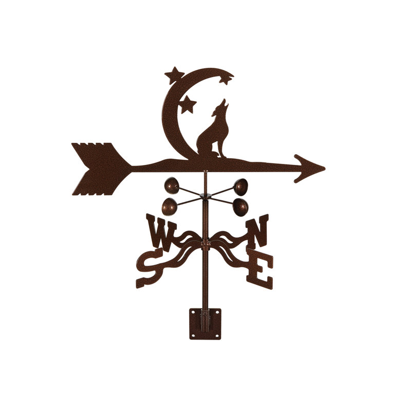 Coyote mauritanien avec lune et étoiles, Socle