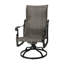 Florence Woven High Back Swivel Rocker-223799305-223746508