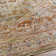 Phalon Oriental Indoor Rug