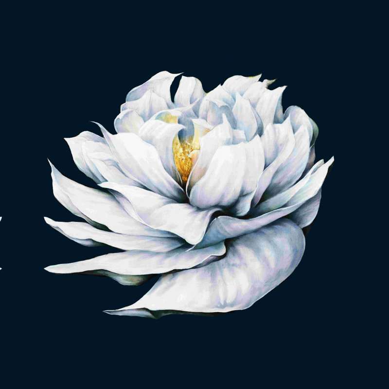 Fleur blanche - peinture sur toile tendue, H 30 po x l 30 po