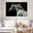 Brampt Arabian Horse-106051563