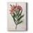Laurier Rose -Custom Wrapped Gallery Cavas
