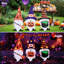 Ensemble de 3 piquets de gnome d'Halloween avec lumières DEL